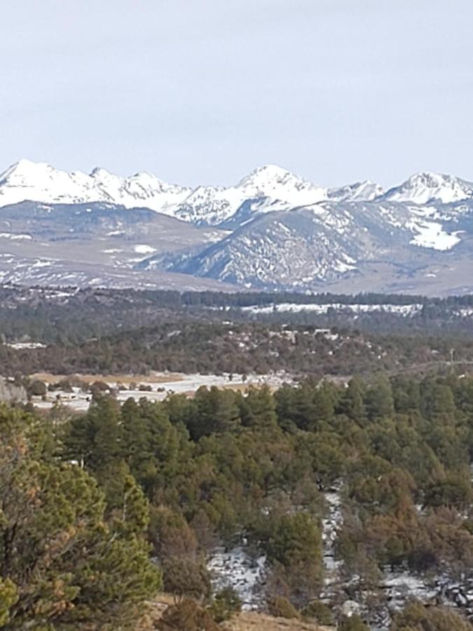 Starry Nights Ranch Bed & Breakfast Mancos Bagian luar foto