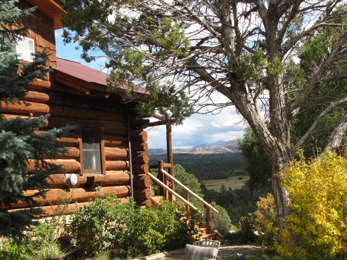 Starry Nights Ranch Bed & Breakfast Mancos Bagian luar foto