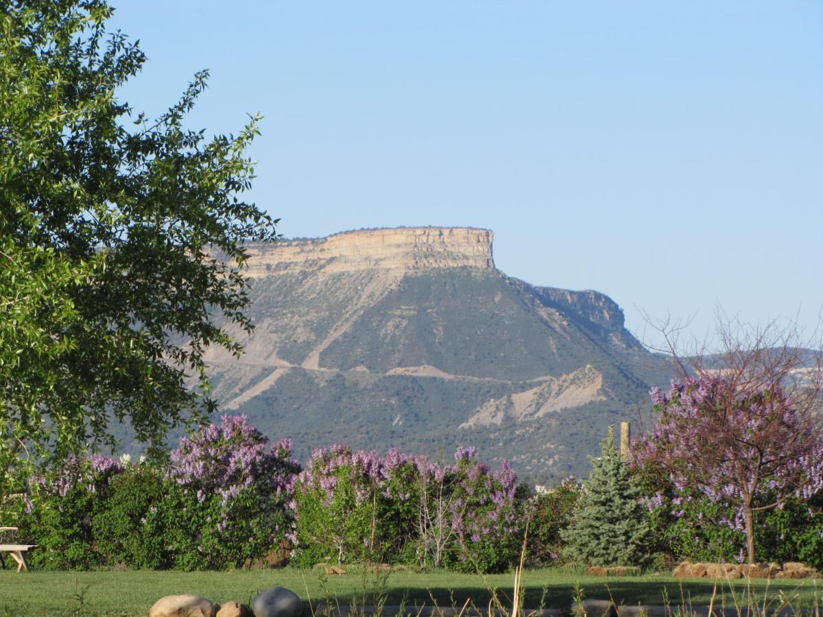 Starry Nights Ranch Bed & Breakfast Mancos Bagian luar foto
